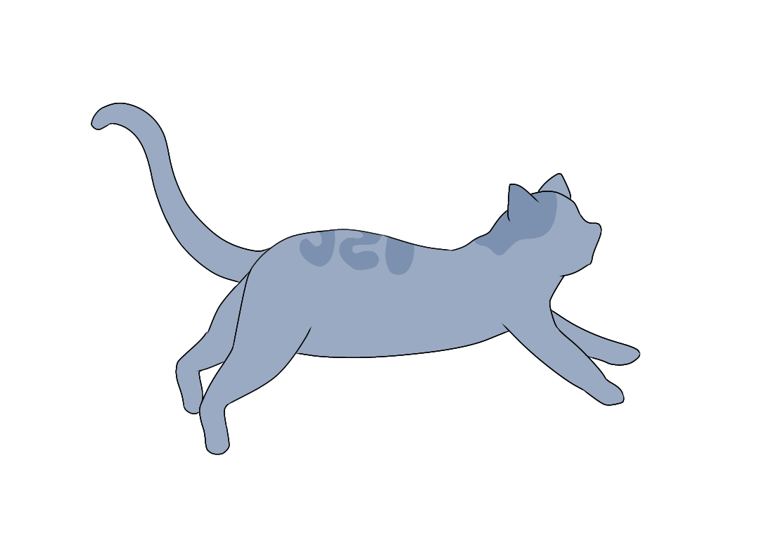 wolk cat